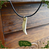 Necklace Coyote tooth